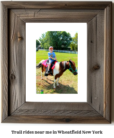 trail rides near me in Wheatfield, New York